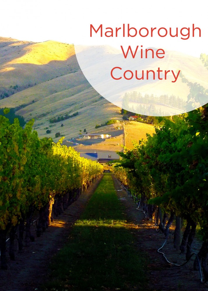 Marlborough Wine Country Pinterest