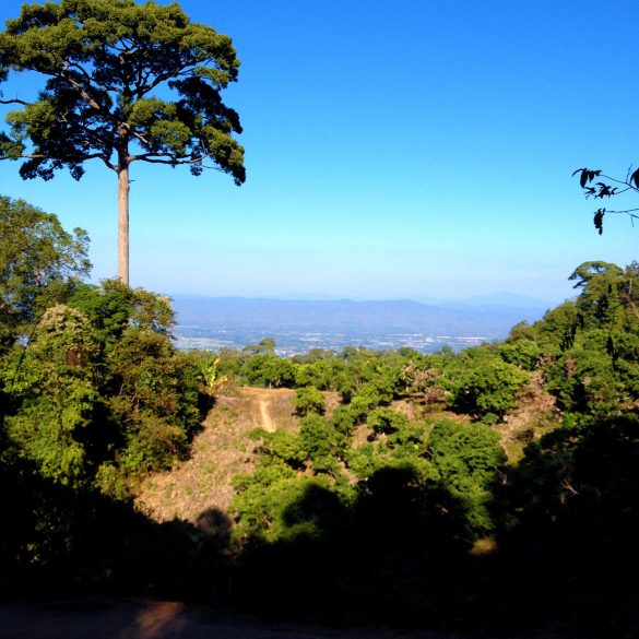 Doi Suthep