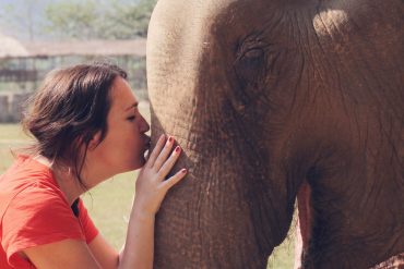 Kissing an Elephant