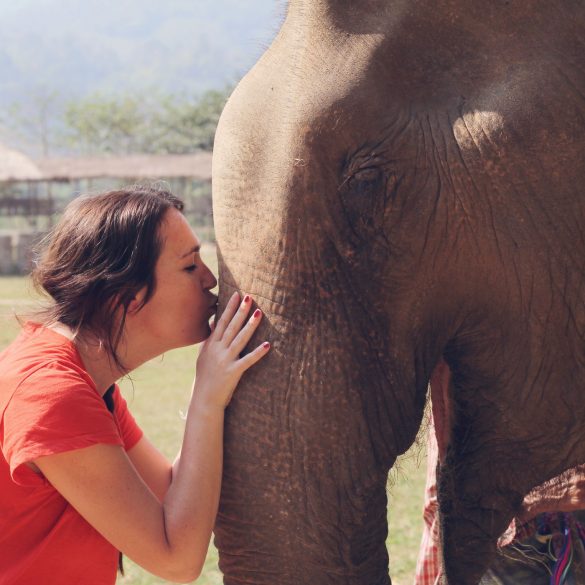 Kissing an Elephant
