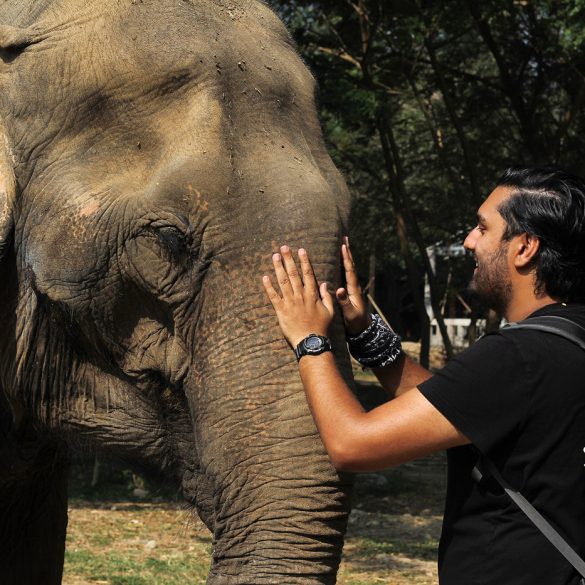 Raj with Granny Elephant