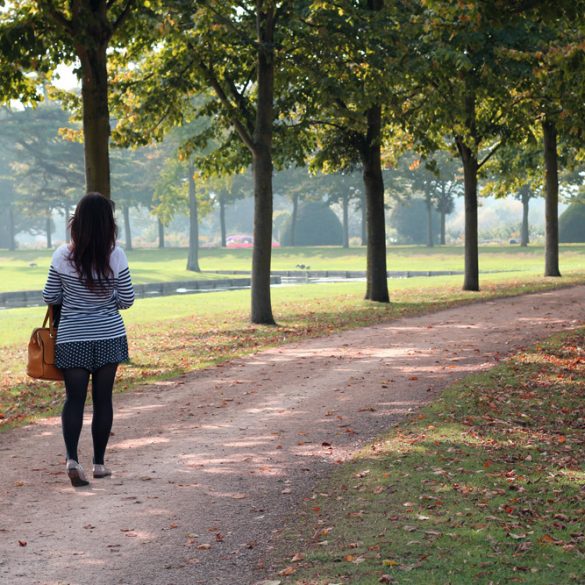 The grounds at Hampton Court Palace