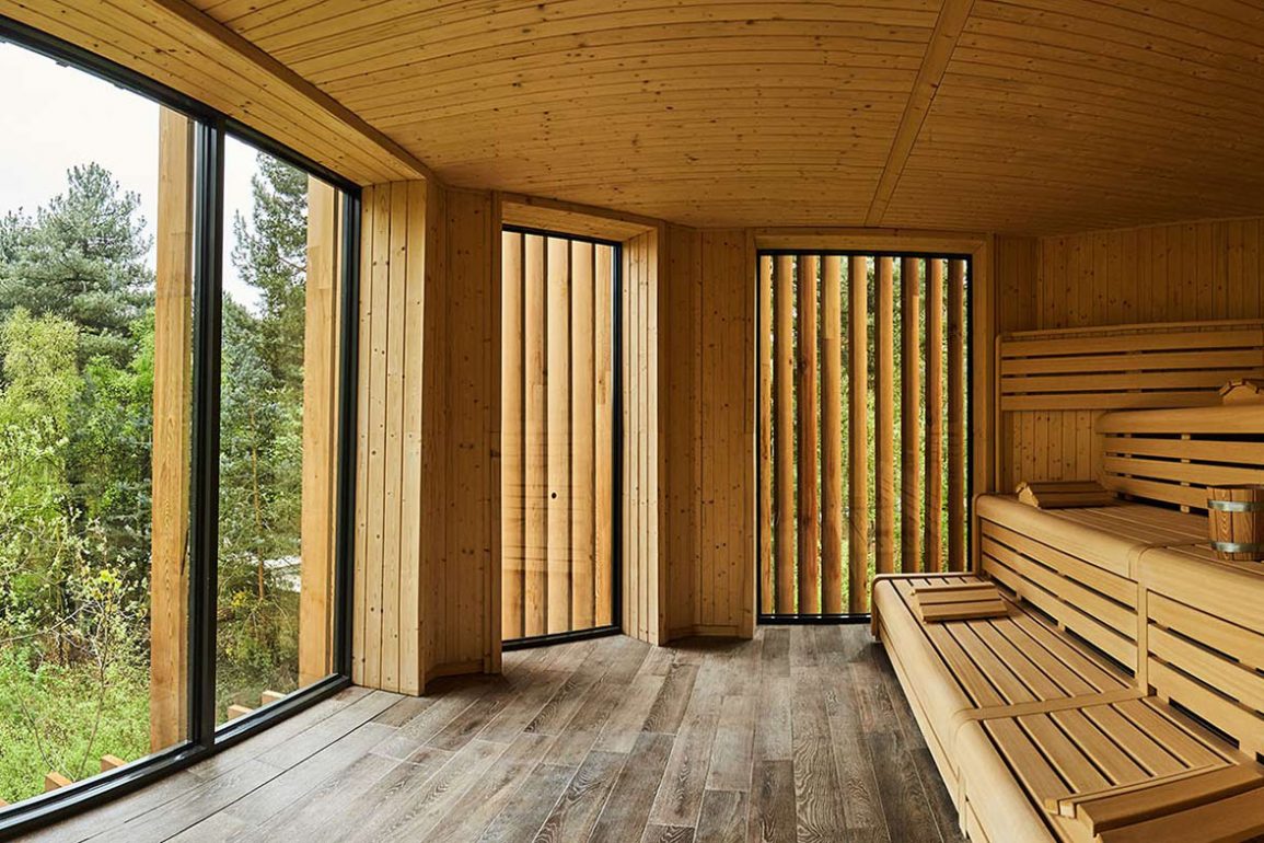 Wooden sauna with large window on the left looking out over the tree canopy