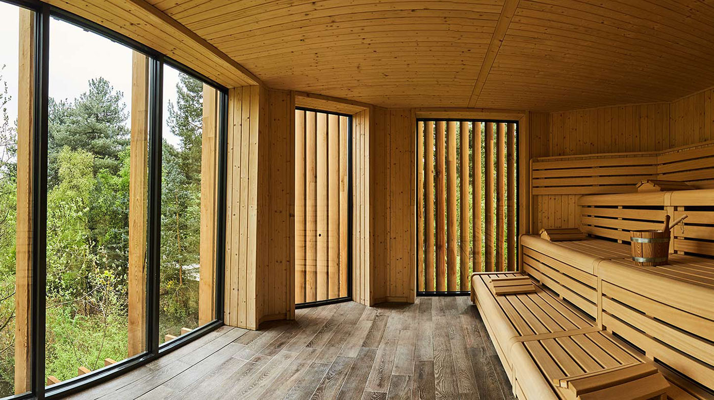 Wooden sauna with large window on the left looking out over the tree canopy