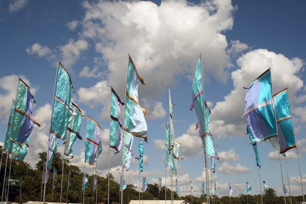 Collection of blue flags against the bright blue sky