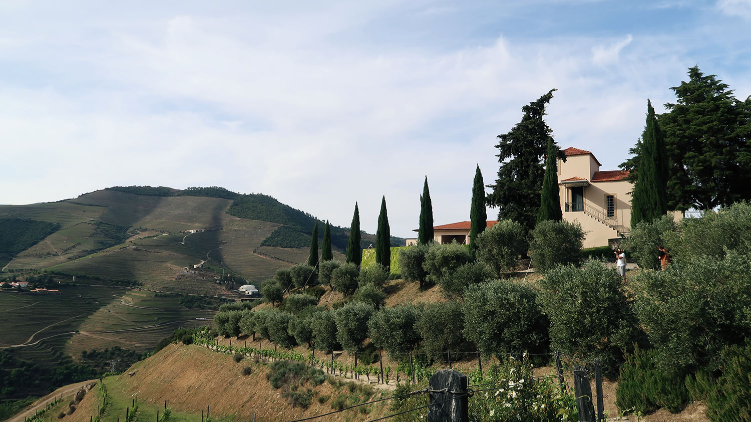 beautiful country house on top of the hill of vineyards
